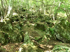 ��̓]�����