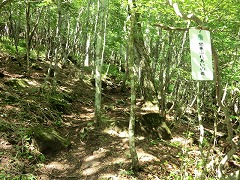 �֓��ӂꂠ���̓��v���[�g