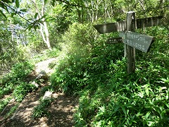 ��x����̓��֍���