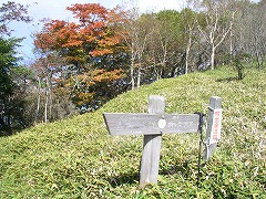 �����̓��W