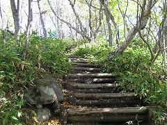 �R����ڎw��