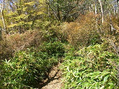 ��؂�D���ĎR����