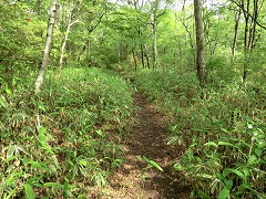 第2スキー場への下り