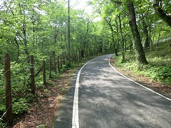 湖畔の道を歩く