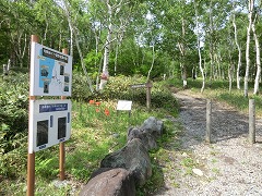 句碑巡り遊歩道入口