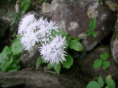 �J���}�c�\�E