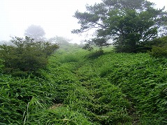 �����̊ۑ��K�i