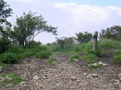 �o���Ă�����