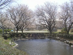 �r�ƃQ�[�g�{�[����