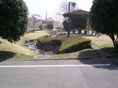 ����Ɍ���