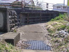 �p���͓��H���z����