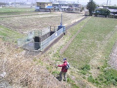 �y��̉��ɐ���