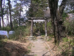 ��C�����{�̒���