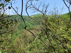 �X�J�C�{���g���C���̔���