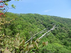 �����ʂ�