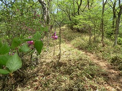 �������������s��