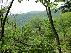 ������