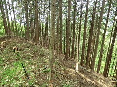 ���̐A�ђn����