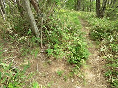 ���؂ւ̕���