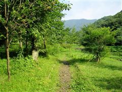 �����̑�ւ̗V����