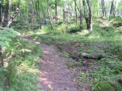 �����ɂ��R��