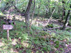 �Ƃ���ǂ��댻��铹�W