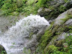 �󒆂֕��o�������̑�