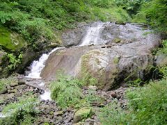 ����ɂӂ��̊���