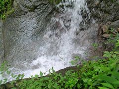 �����̑�̑��