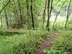 ����̉���