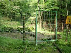 ���m�Ԃ̕ی��