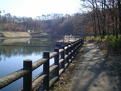 ���쑤�V����