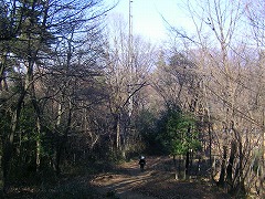 �d�g���ւ̔�����