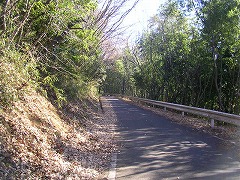 �ѓ��@�R�ۖk����