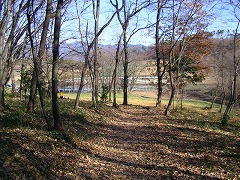 �V����������