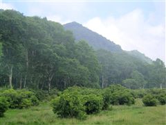 �����q��̐�ɗ郖�x