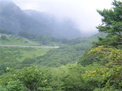 �V�╽��]��