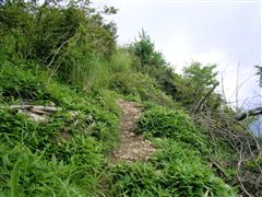 �W�]�������铹��