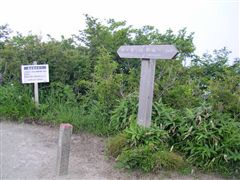 �L���R��