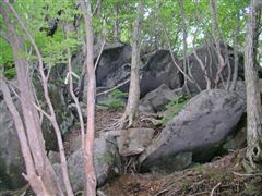 ��ꂪ����