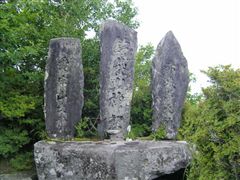 �R���Ɍ��Δ�