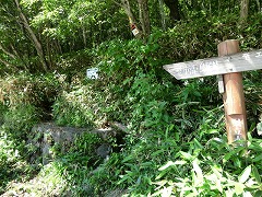 �o�R���̓��W