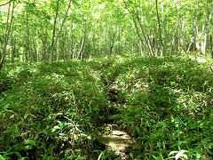 �ؗ��A���̓�