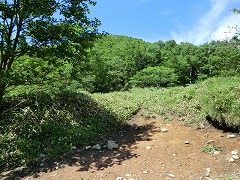 ������Ƃ����L��