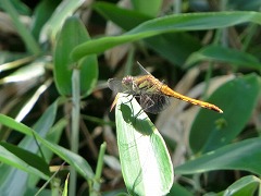 �A�L�A�J�l