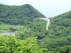 �o�����A������