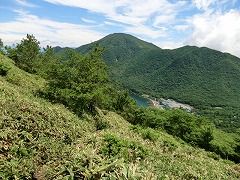 ���w�R�A��x