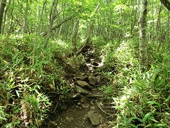 �ؗ��̒���