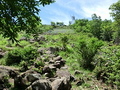 �n���x�R���ւ̓�