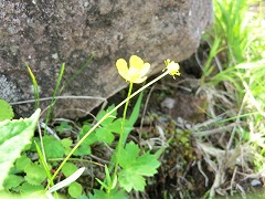 �E�}�m�A�V�K�^